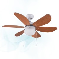 Ventiladores de techo