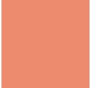 Canson Guarro Pack de 25 Cartulinas Iris de 185g - 50x65cm - Color Coral