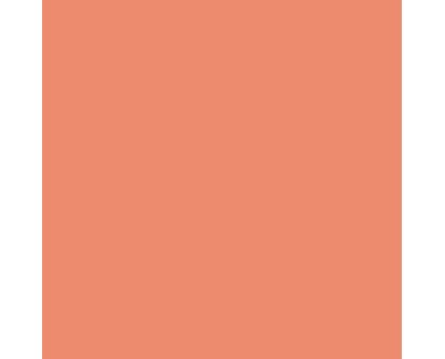 Canson Guarro Pack de 25 Cartulinas Iris de 185g - 50x65cm - Color Coral