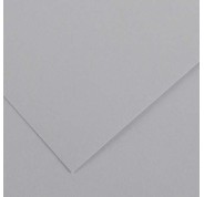 Canson Guarro Pack de 25 Cartulinas Iris de 185g - 50x65cm - Color Gris Perla