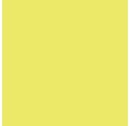Canson Guarro Pack de 25 Cartulinas Iris de 185g - 50x65cm - Color Kiwi