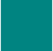 Canson Guarro Pack de 25 Cartulinas Iris de 185g - 50x65cm - Color Verde Menta