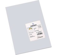 Canson Guarro Pack de 50 Cartulinas Iris A4 de 185g - 21x29.7cm - Color Gris Perla