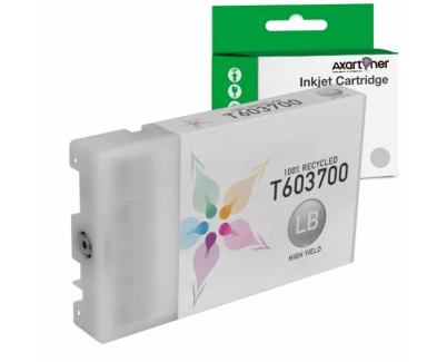 Compatible Epson T6037 Negro Light Cartucho de Tinta Pigmentada C13T603700 para Epson Stylus Pro 7880, 9880