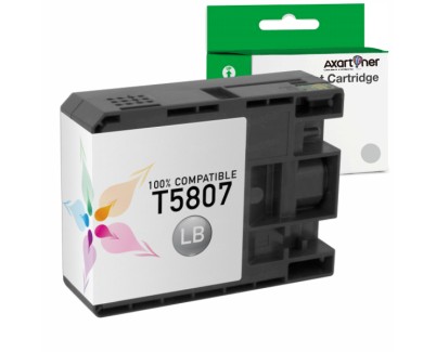 Compatible Epson T5807 Negro Light Cartucho de Tinta Pigmentada C13T580700 para Epson Stylus Pro 3800 / 3880