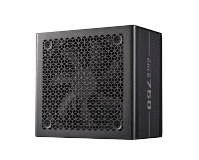 Cooler Master Elite Gold Fuente de Alimentacion 80+ Gold 750W - ATX 3.1 - PCIe Gen 5.1 - PFC Activo - Full Modular