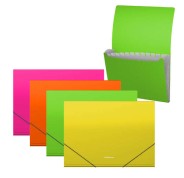 Erichkrause Clasificadores Matt Neon - 12 Fundas - Tamaño A4 - Color Surtidos
