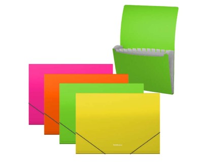 Erichkrause Clasificadores Matt Neon - 12 Fundas - Tama&ntilde;o A4 - Color Surtidos