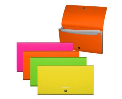 Erichkrause Clasificadores Matt Neon - 12 Fundas - Tama&ntilde;o Cheque - Colores Surtidos