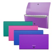 Erichkrause Clasificadores Matt Vivid - 12 Fundas - Tamaño Cheque - Colores Surtidos