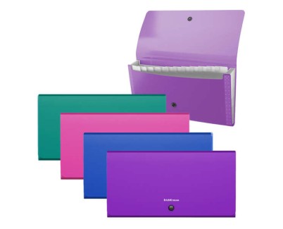 Erichkrause Clasificadores Matt Vivid - 12 Fundas - Tama&ntilde;o Cheque - Colores Surtidos