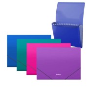 Erichkrause Matt Vivid Carpeta/Clasificador con 12 Fundas A4 - Acabado Mate - Colores Surtidos