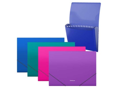 Erichkrause Matt Vivid Carpeta/Clasificador con 12 Fundas A4 - Acabado Mate - Colores Surtidos