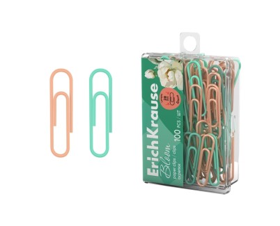ErichKrause Pastel Bloom Pack de 100 Clips Recubiertos - 28mm - Caja de Plastico - Colores Surtidos