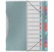 Esselte Colour\'Breeze Clasificador con 12 Pestañas Multicolor - Para Formato A4 - 3 Solapas en la Contraportada - Polpropileno en Relieve - Cierre con Goma Elastica - Color Translucido