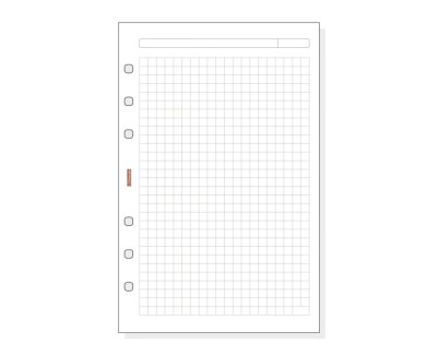 Finocam R540 Recambio para Agendas Open - Cuadriculado - Formato 500 - 117x5x181mm - Color Blanco