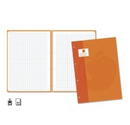 Golden Extra Recambio de 80 Hojas 90gr Cuadricula 4x4 - Formato A4 - 4 Taladros y Banda de Color Naranja
