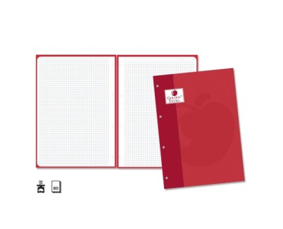 Golden Extra Recambio de 80 Hojas 90gr Cuadricula 4x4 - Formato A4 - 4 Taladros y Banda de Color Rojo