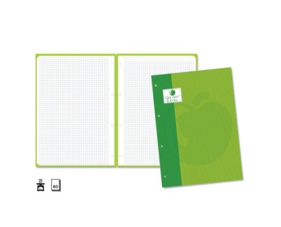Golden Extra Recambio de 80 Hojas 90gr Cuadricula 4x4 - Formato A4 - 4 Taladros y Banda de Color Verde