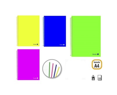 Golden Pack de 4 Cuadernos A4 120 Hojas 90gr Cuadricula 5x5 - Hojas Microperforadas con Banda de Color y 4 Taladros - Tapa Polipropileno - Colores Surtidos