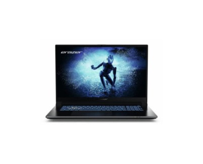 Medion Defender P50I Portatil 17" Intel Core i5 13420H - 16GB / 1TB SSD - RTX 4060  - USB-A, C, HDMI, RJ-45, Audio - Color Negro
