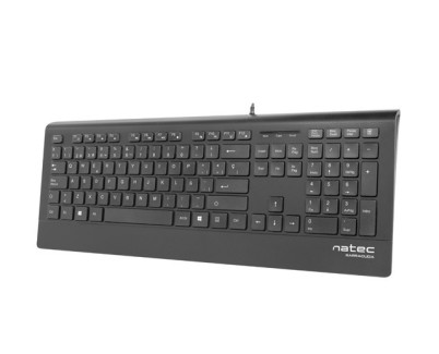 Natec Barracuda Teclado Slim - 104 Teclas Membrana - Color Negro