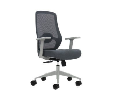 Oqonos Cherg 003 Silla de Oficina Ergonomica con Soporte Lumbar Ajustable en Altura y Profundidad, Respaldo de Malla Transpirable, Reposabrazos Fijos, Asiento Ergonomico Moldeado y Ruedas de Silicona - Gris