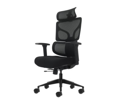 Oqonos Cherg 010 Silla de Oficina Ergonomica con Reposacabezas Cervical Ajustable, Respaldo y Asiento de Malla Elastica, Reposabrazos 4D, Asiento Deslizable Ergonomico Moldeado y Ruedas de Silicona - Negro