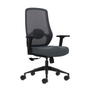 Oqonos Cherg 025 Silla de Oficina Ergonomica con Soporte Lumbar Ajustable en Altura y Profundidad, Reposabrazos 4D, Piston de Gas Clase 4, Asiento Ergonomico Moldeado y Ruedas de Silicona - Gris con Estructura Negra