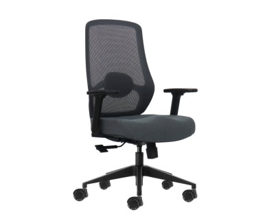 Oqonos Cherg 025 Silla de Oficina Ergonomica con Soporte Lumbar Ajustable en Altura y Profundidad, Reposabrazos 4D, Piston de Gas Clase 4, Asiento Ergonomico Moldeado y Ruedas de Silicona - Gris con Estructura Negra