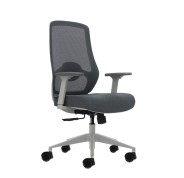 Oqonos Cherg 026 Silla de Oficina Ergonomica con Soporte Lumbar Ajustable en Altura y Profundidad, Reposabrazos 4D, Piston de Gas Clase 4, Asiento Ergonomico Moldeado y Ruedas de Silicona - Gris