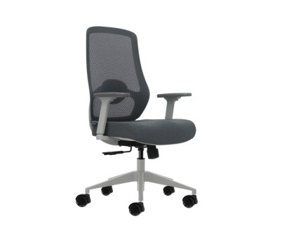 Oqonos Cherg 026 Silla de Oficina Ergonomica con Soporte Lumbar Ajustable en Altura y Profundidad, Reposabrazos 4D, Piston de Gas Clase 4, Asiento Ergonomico Moldeado y Ruedas de Silicona - Gris