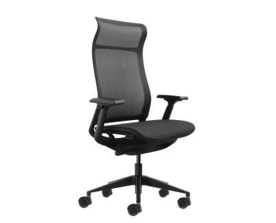 Oqonos Cherg 028 Silla de Oficina Ergonomica con Respaldo y Asiento de Malla Elastica, Mecanismo Autobalanceado, Reposabrazos 4D, Asiento Deslizable y Ruedas de Silicona - Negro