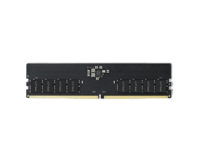 PNY Performance Memoria RAM DDR5 16GB 5600MHz CL46 Bulk