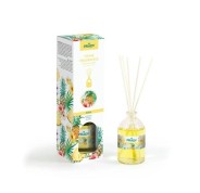 Prady Ambientador Mikado Piña - Frasco de Cristal 100 ml y Varitas Difusoras