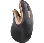 ProtoArc EM11 NL Raton Vertical Ergonomico Inalambrico - 2400 dpi -  Bluetooth + 2.4Ghz - Bateria Recargable - Multidispositivo - Color Negro y Dorado