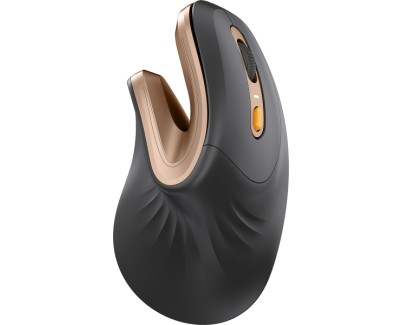 ProtoArc EM11 NL Raton Vertical Ergonomico Inalambrico - 2400 dpi -  Bluetooth + 2.4Ghz - Bateria Recargable - Multidispositivo - Color Negro y Dorado
