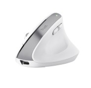 Trust Ergo BayoII+ Teclado Inalambrico - Sensor Optico Ajustable Entre 800 y 2400 DPI - 6 Botones - Notificaciones LED - Multidispositivo - Color Blanco